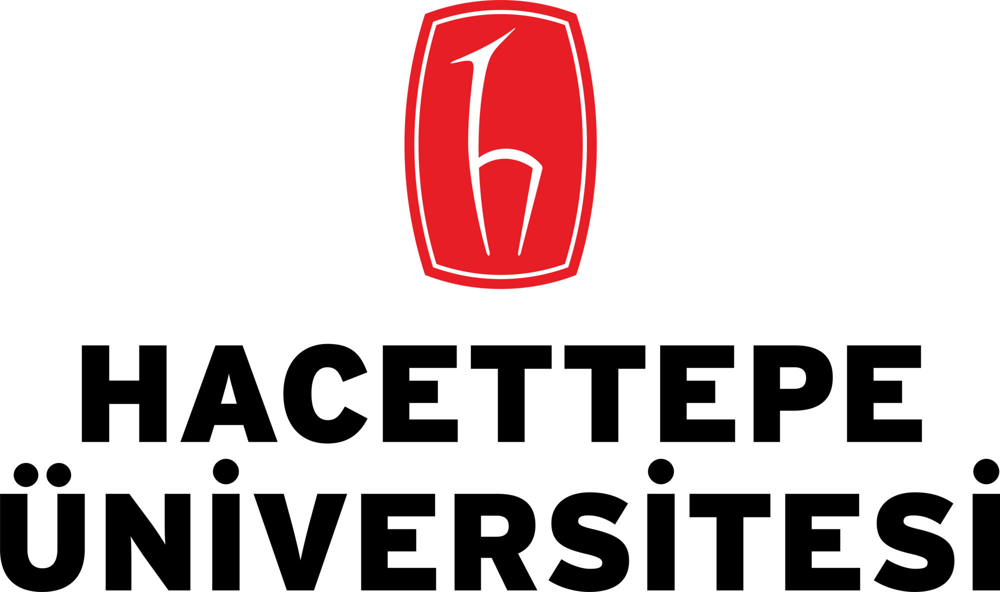 HACETTEPE ÜNİVERSİTESİ logo
